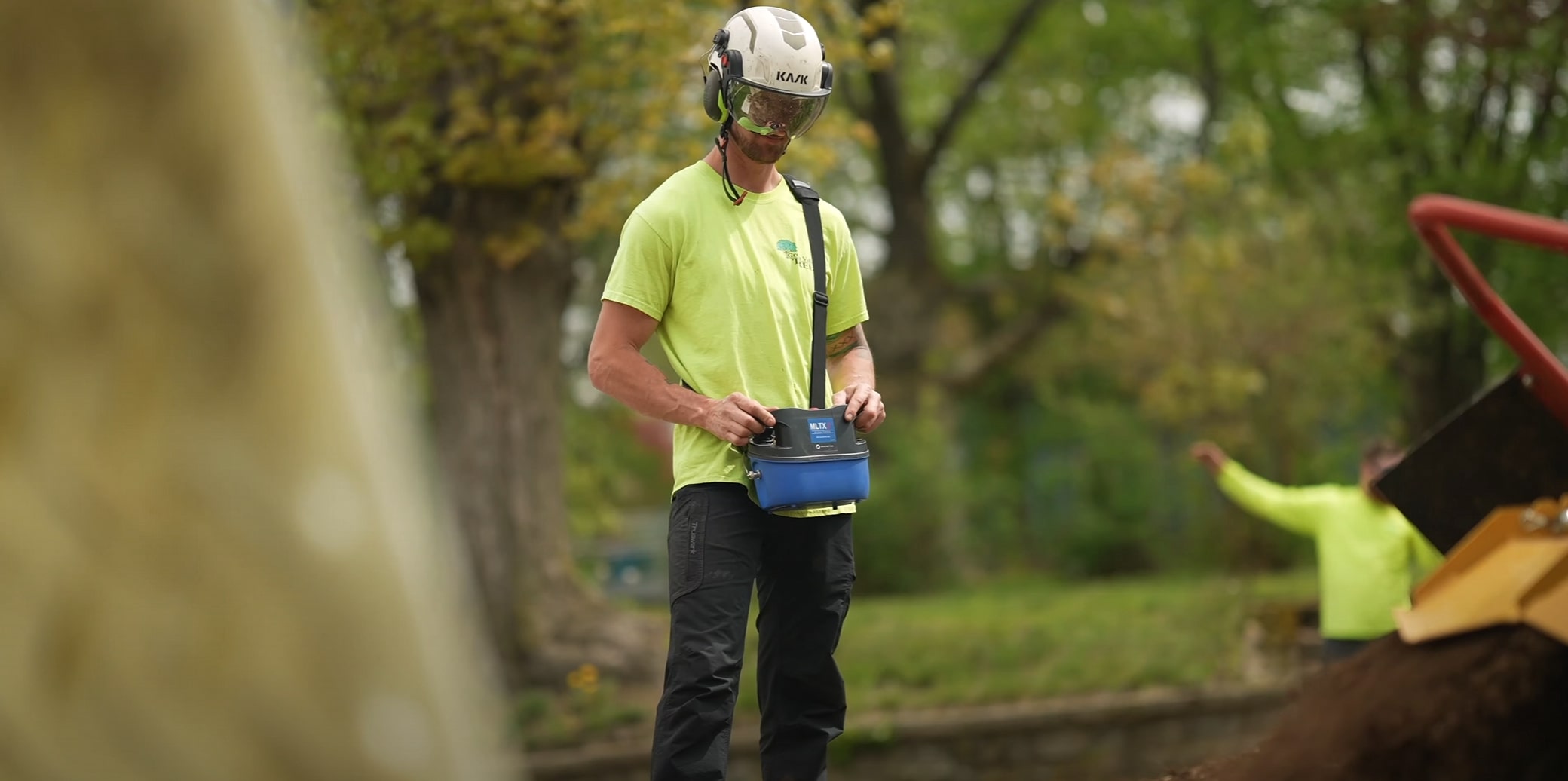 Tree Health & Maintenance service in Fountain Valley, CA