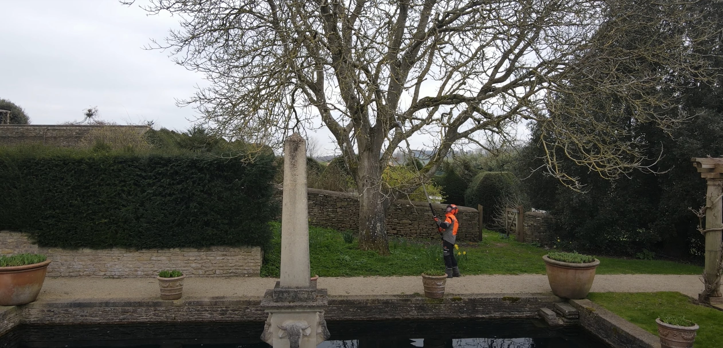 Tree Trimming & Pruning service in Fountain Valley, CA